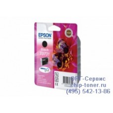 Картридж черный Epson Т0731 оригинальный